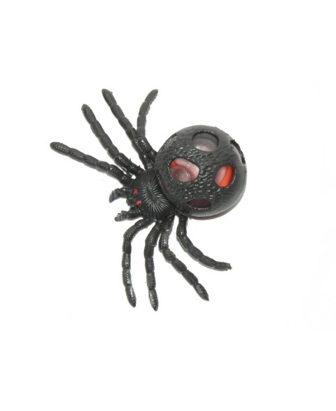 Spider toy